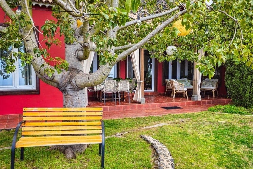 Ferienhäuser La Palma Westseite, Garten, Villa Torres Ferienhäuser La Palma Westseite, Garten, Villa Torres