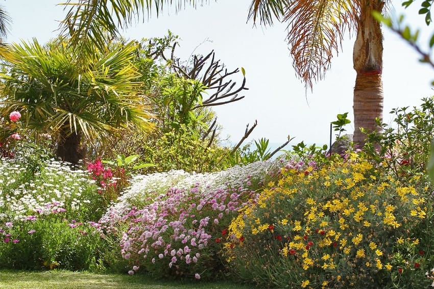 Garten, Casa Amalia, Ferienhaus La Palma