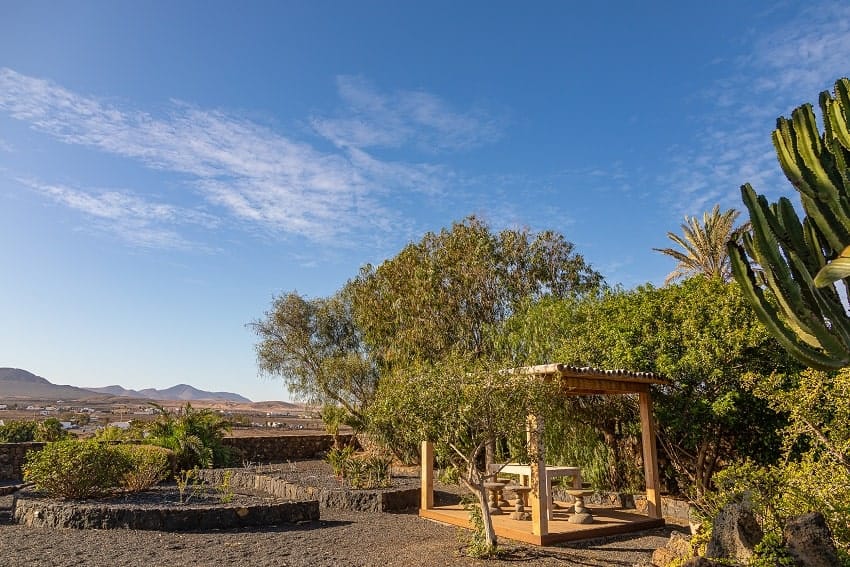 Jardin, Casa Brixio, Casa Rural Fuerteventura