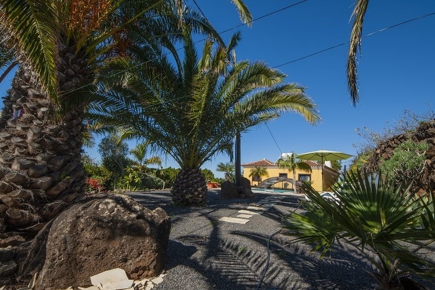 Garden, Casa Van de Walle, Holiday Cottage La Palma